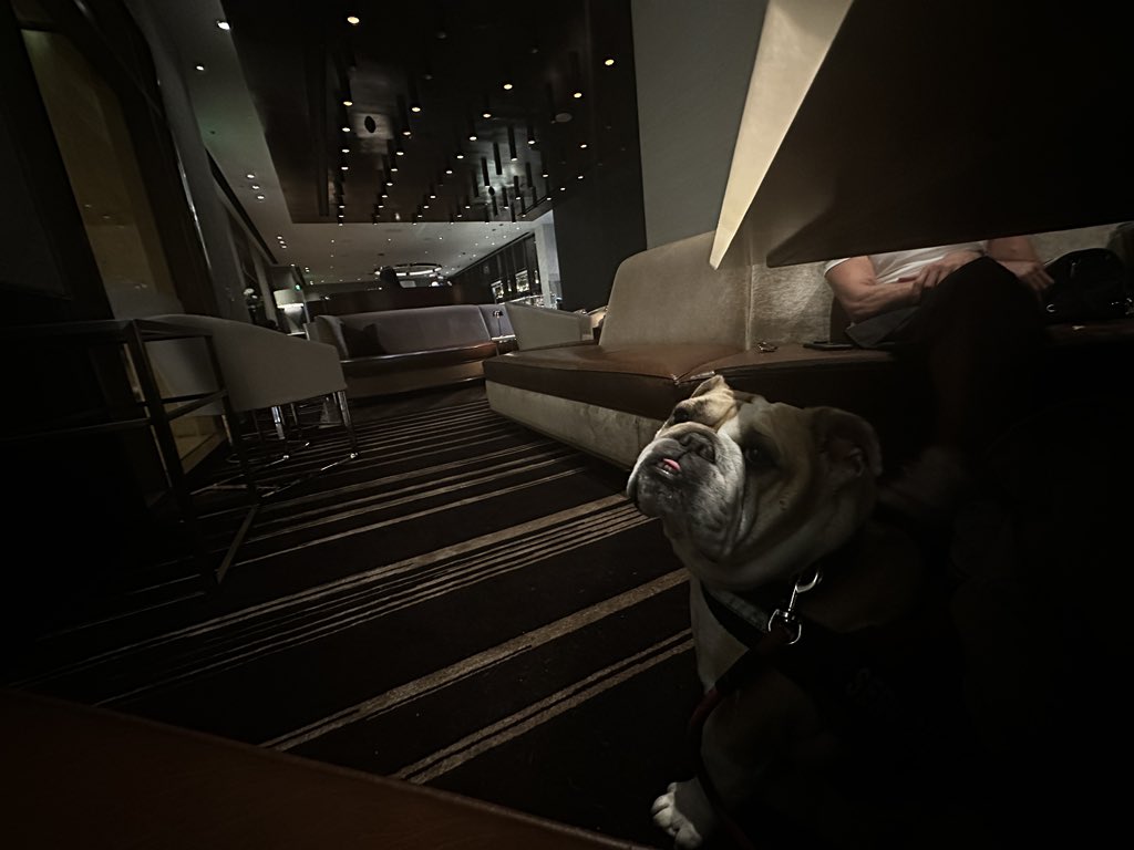 Cliff Jensen (@lovecliffjensen) on Twitter photo 