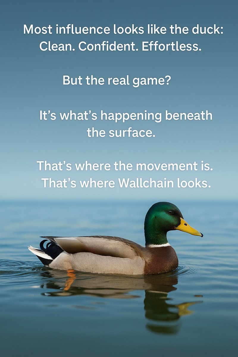 HBO_data's tweet image. GQUACK 🦆 

Good morning, friends.
Some mornings hit different — the kind where you pause and really think about where things are headed, and who’s actually building the foundations for that future.

That’s where @wallchain_xyz stands out.

We’re in a time where a lot of people…