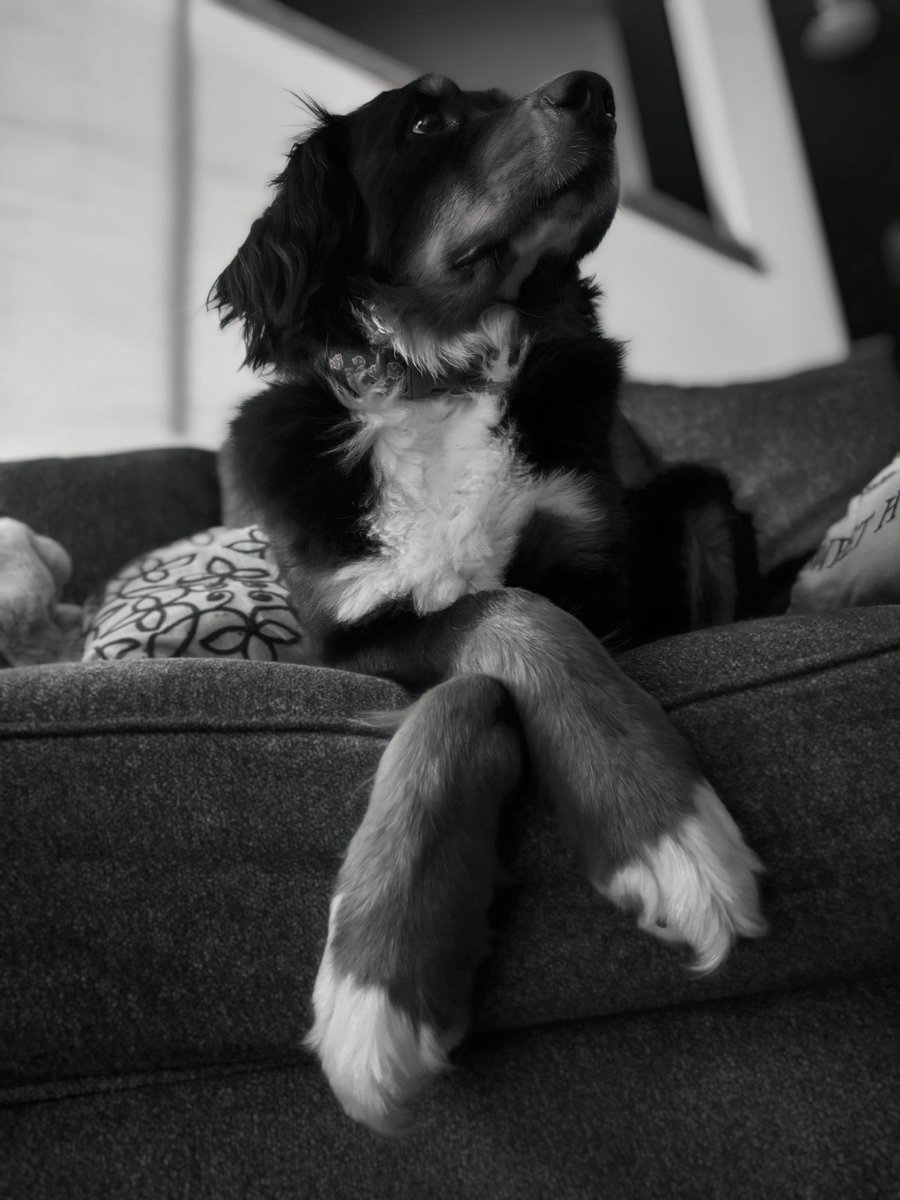 What a distinguished lil’ lady we have…