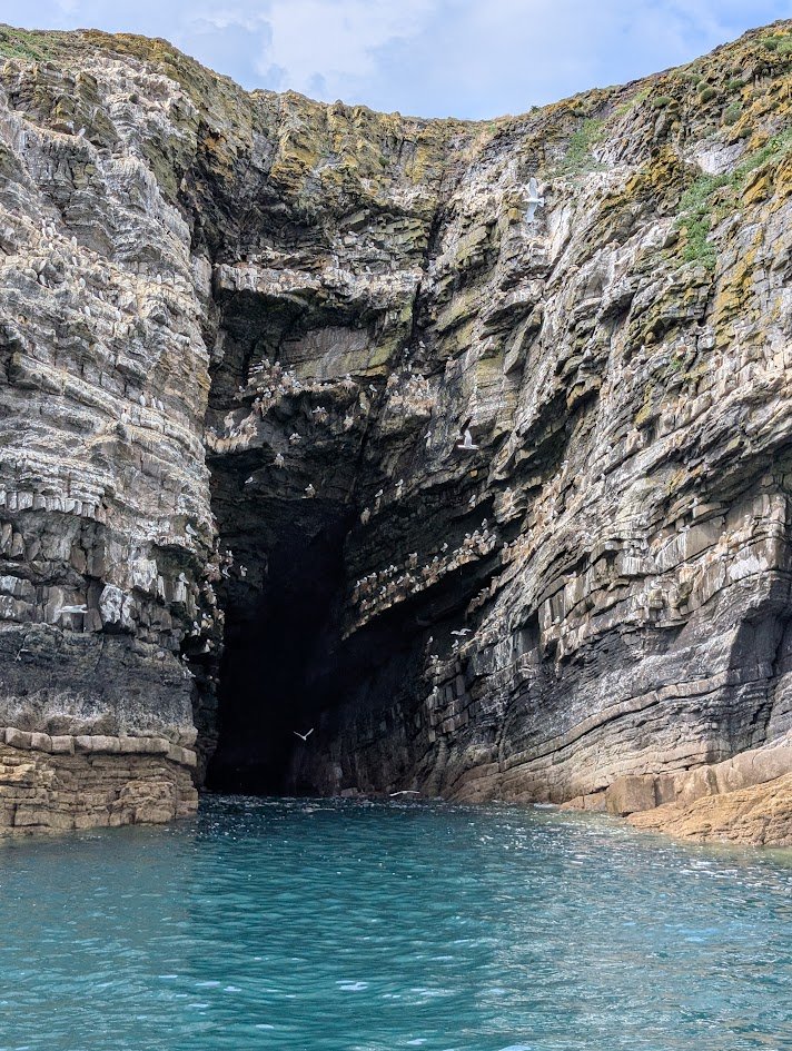 PMH Capital tweet media