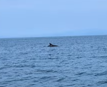 PMH Capital tweet media