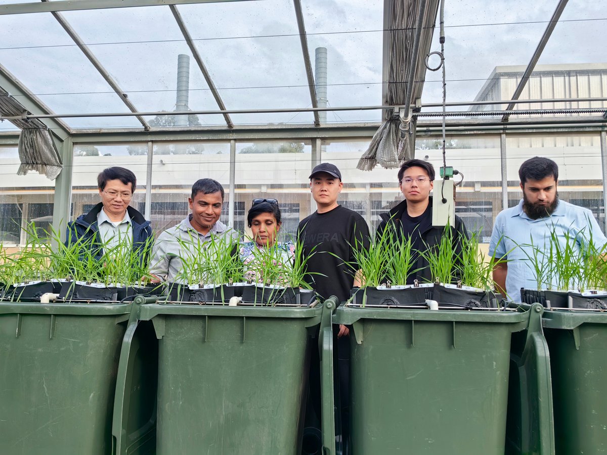 Kanch Wickramarachchi (@kanchwickramar1) on Twitter photo Gaus and I were glad to take a break from the chaos of late-season start-trial work to visit UWA. It was a real pleasure spending time with Dr Yinglong Chen and his team—chatting about student projects and learning about their rapid root phenotyping system. A seriously clever, Gaus and I were glad to take a break from the chaos of late-season start-trial work to visit UWA. It was a real pleasure spending time with Dr Yinglong Chen and his team—chatting about student projects and learning about their rapid root phenotyping system. A seriously clever,