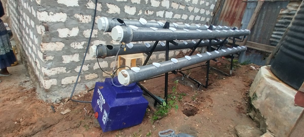 Grow your vegetables 

NFT hydroponic system 

no soil 

reuse water

reuse fertilizer