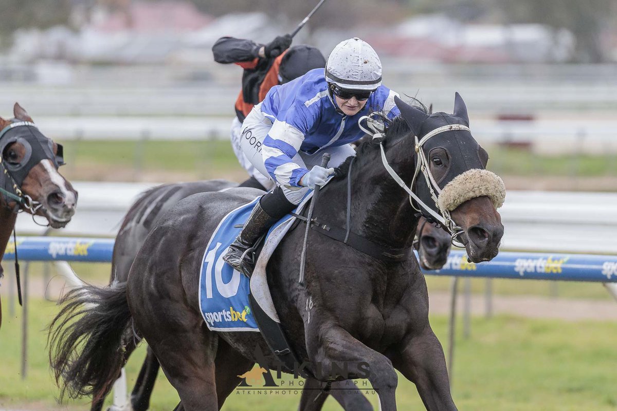 SA Racehorse Owners (SAROA) (@s_saroa) on Twitter photo Mystic Wonder  jumped better today and was able to get the win with a patient ride by Teagan Voorham. The Stratosphere filly is trained by Gordon Richards and Damien Moyle with owners including Robert and Lyn Warnock; John Atkinson and Jacqui Heaney. Mystic Wonder  jumped better today and was able to get the win with a patient ride by Teagan Voorham. The Stratosphere filly is trained by Gordon Richards and Damien Moyle with owners including Robert and Lyn Warnock; John Atkinson and Jacqui Heaney.