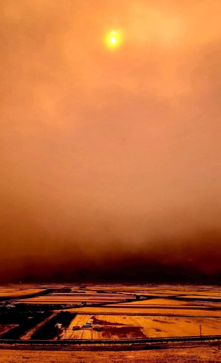 Antiochian_Rum's tweet image. Apocalyptic Imagery from the Coast of Syria specifically the Alawite Mountains.
“Unknown Perpetrators” have been starting fires for 6 months and burning the Crops in the Christian and Alawite Lands
This Time it Caught on and is Spreading and is not Stoppable
The Last Pic is…