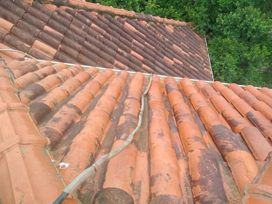 Freshly Kleen tweet media