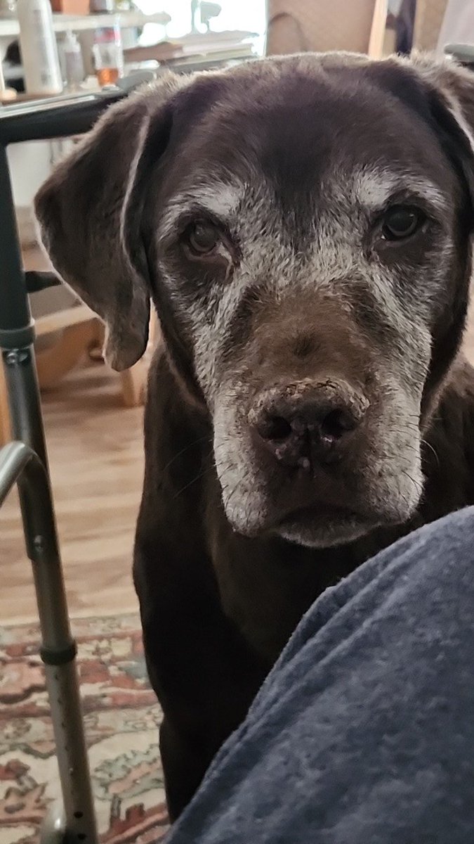 My senior best friend 🧡