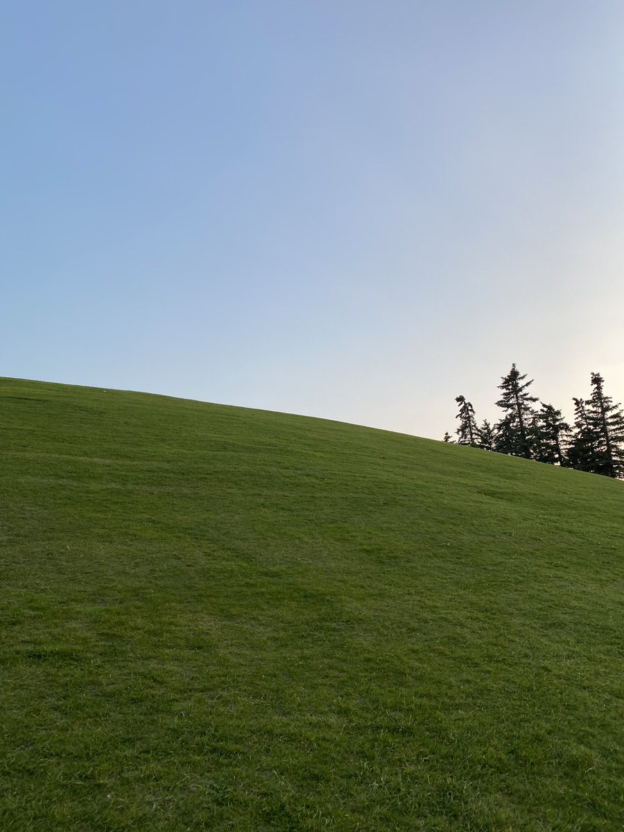 34rths's tweet photo. This and  rolling down the hill with your Friends https://t.co/4Z1iDLJbO4