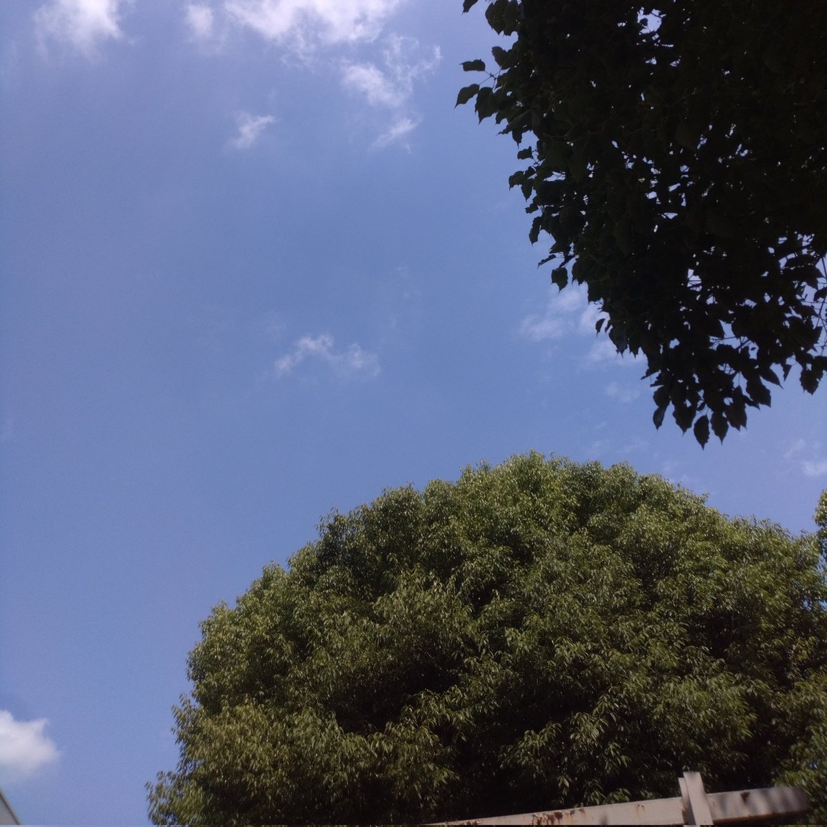 今日は次男のテニスの応援🎾
