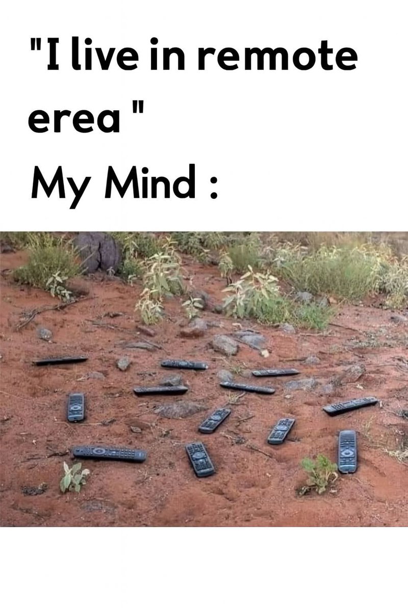queenofthelov's tweet image. 📺 When someone says they live in a &quot;remote&quot; area…
And your brain immediately goes full dad joke mode.

#RemoteArea #LiteralHumor #DadJokes #MemeGameStrong #RelatableMemes #VisualPun #FunnyMind #SarcasmFree
