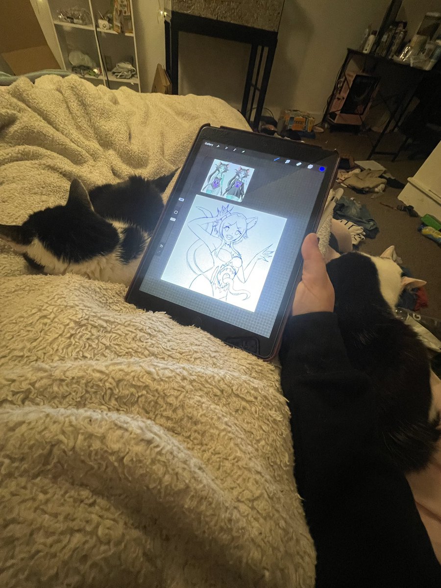 CinnaNova_VT's tweet image. Sometimes ya just gotta stay up late and do some Artfight sketches with your two kitties asleep on you