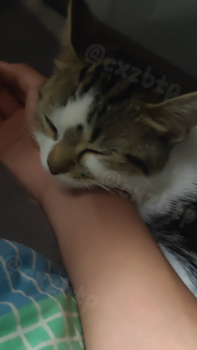 不要蕉绿 tweet media