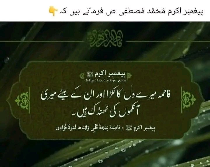 Syeda Tehmina (@s_tina9) on Twitter photo 