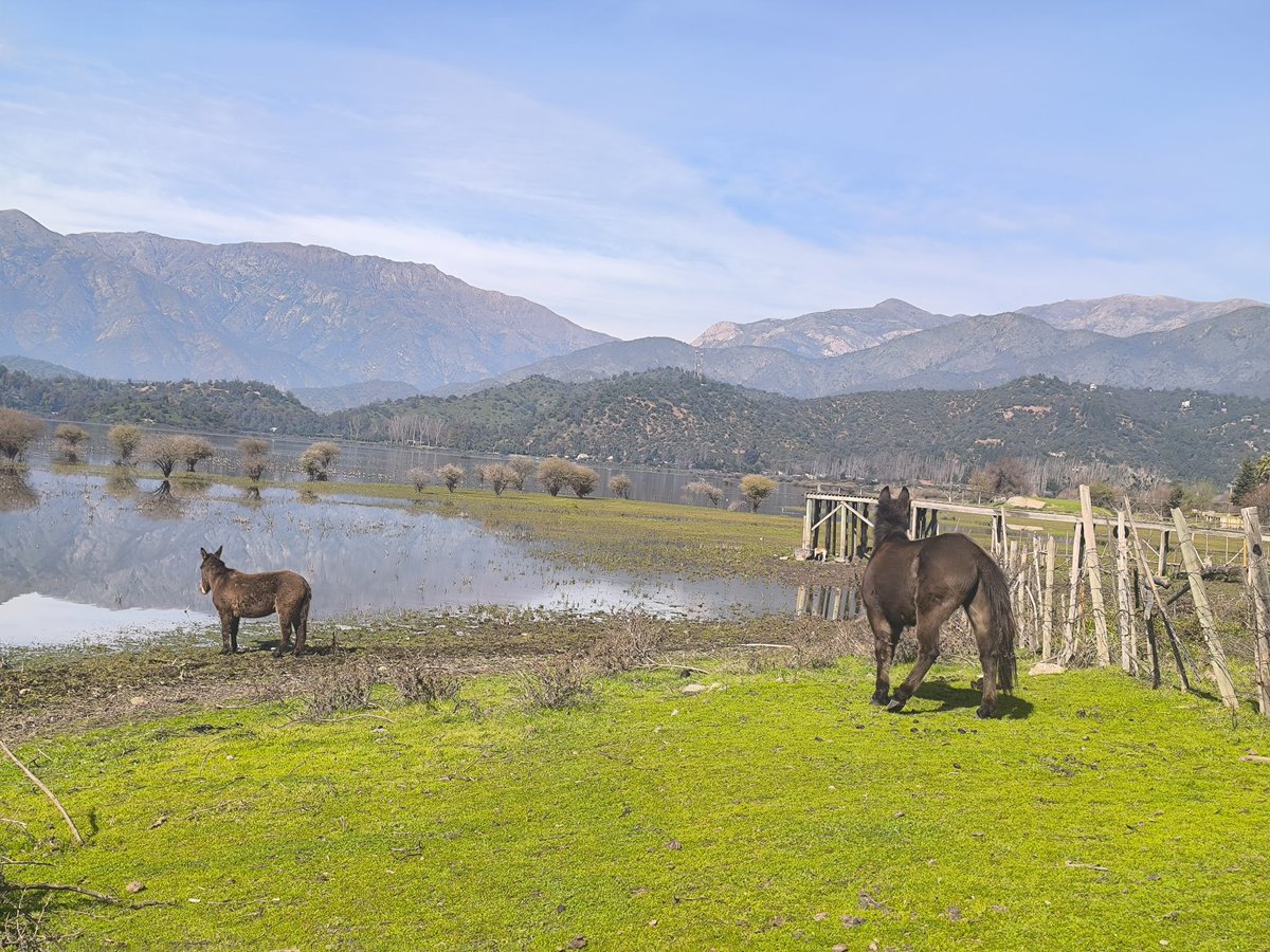 Fin #VacacionesDeInvierno 😭 Pero se pasó muy bien, lugar tranquilo, acogedor, #TurismoLosAlamos #LagunaAculeo valió la pena repetir el lugar, ahora venir en verano.
