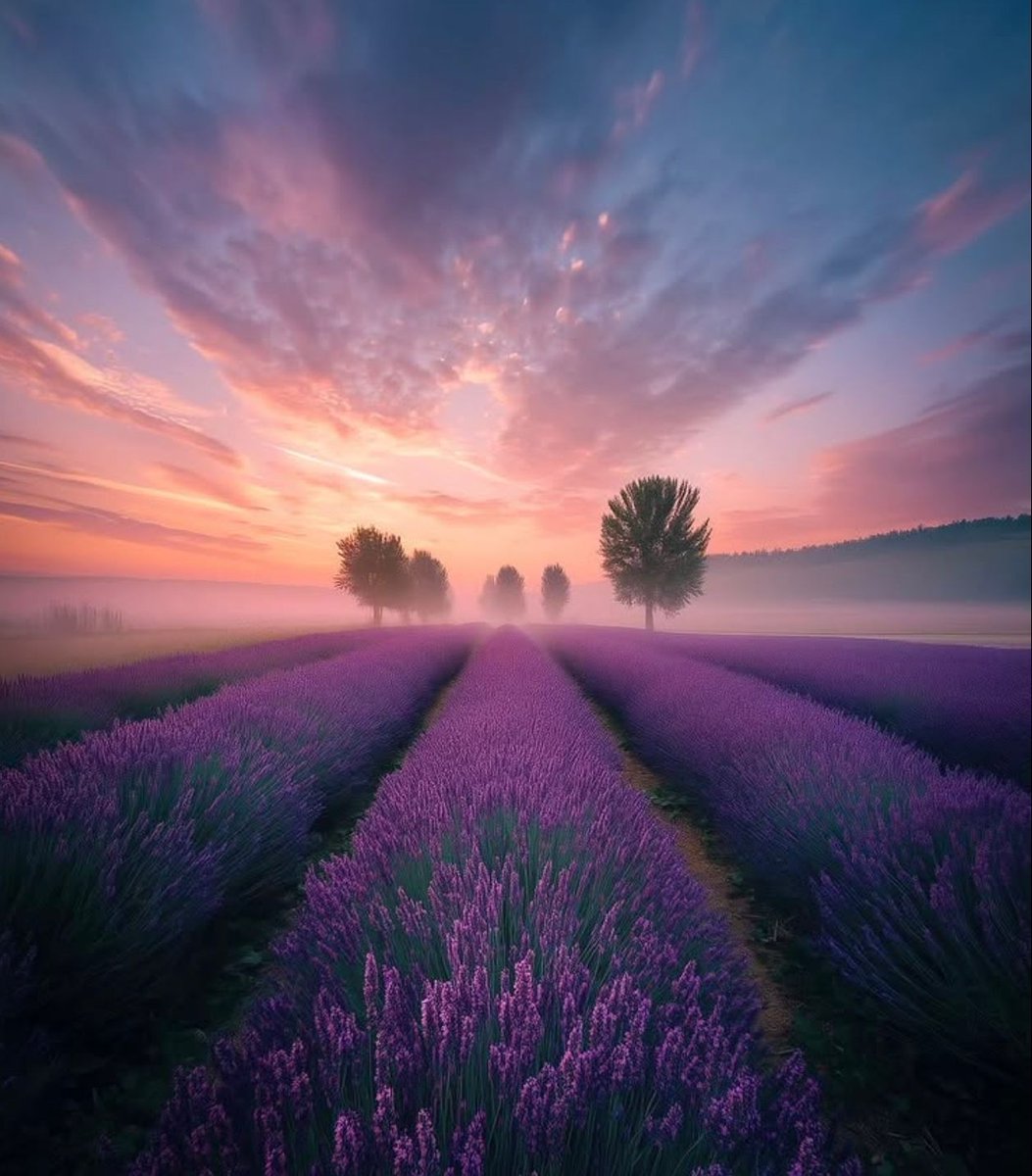 Every morning we are born again. 
What we do today is what matters most.

The Buddha