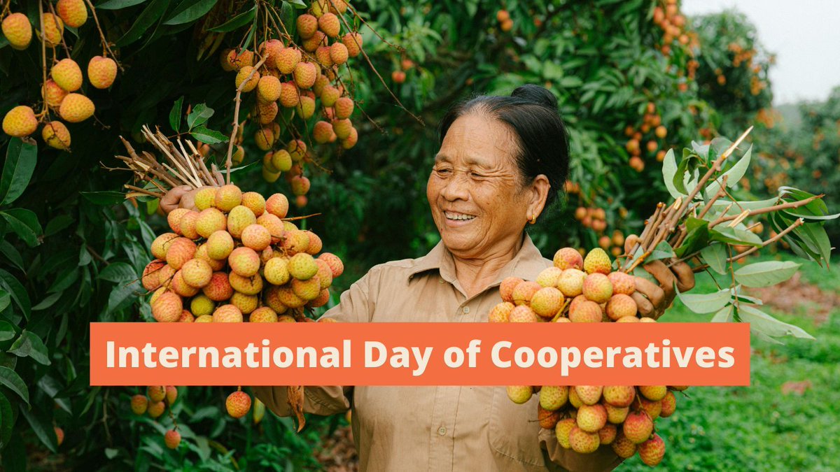 SIANIAgri's tweet image. In line with 2025’s UN‑designated International Year of Cooperatives, and this year’s #CoopsDay theme, we recognise cooperatives as engines of inclusive, resilient #FoodSystems. 🤝
Read more here: buff.ly/22e0oQ3
