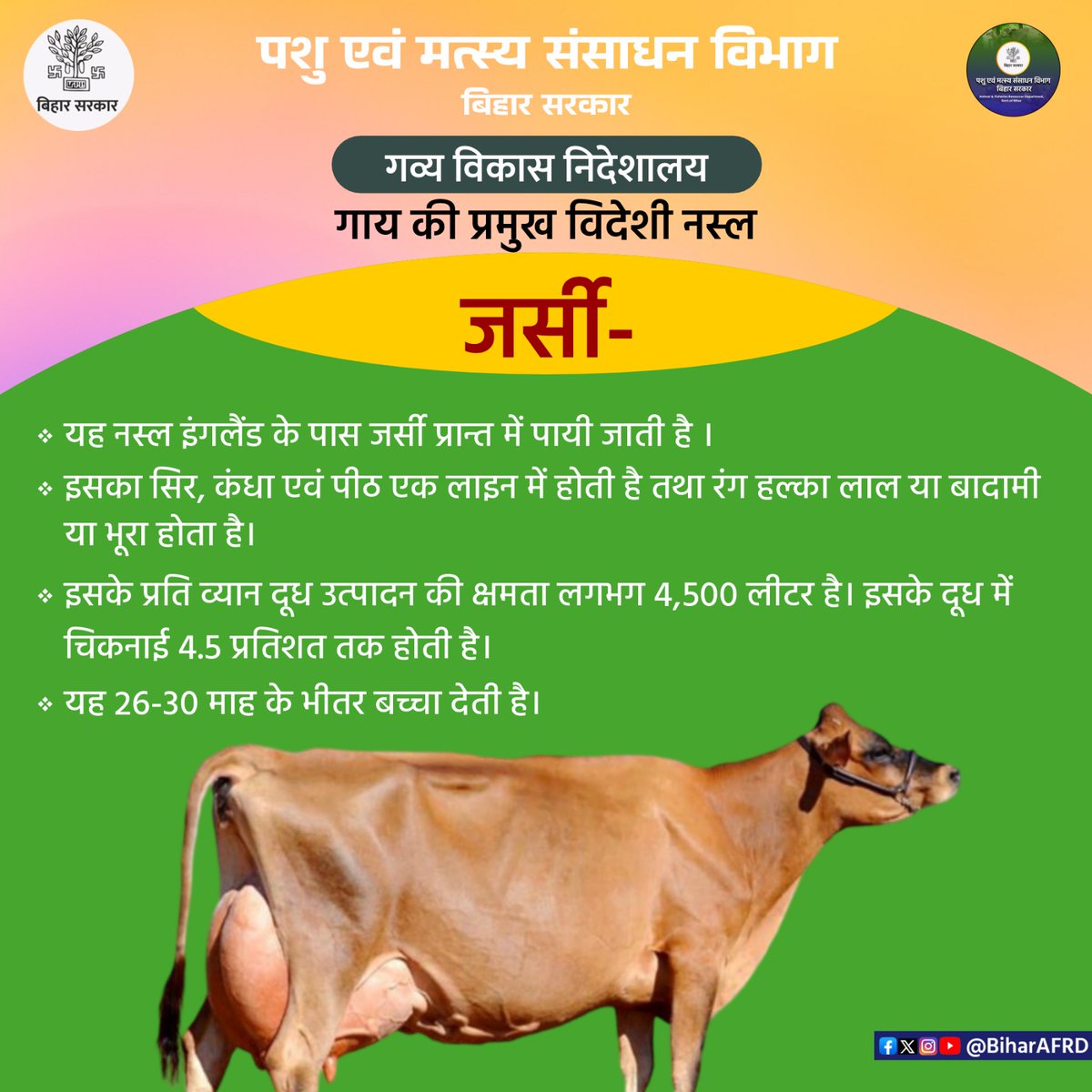 Animal & Fisheries Resources Dept., Bihar (@biharafrd) on Twitter photo गाय की प्रमुख विदेशी नस्लें।
<a href="/renu_bjp/">Renu Devi 🇮🇳</a>
<a href="/Agribih/">Agriculture Department, Govt. of Bihar</a>
<a href="/Dept_of_AHD/">Dept of Animal Husbandry & Dairying, Min of FAH&D</a>
<a href="/IPRDBihar/">IPRD Bihar</a>
<a href="/HorticultureBih/">Directorate Of Horticulture, Deptt of Agri, Bihar</a>
<a href="/vijayaias/">nvijayalakshmi</a>
#comfed
#dairy
#pashupalak
#fish
#fisheries
#BiharAnimalAndFisheriesResourcesDept गाय की प्रमुख विदेशी नस्लें।
<a href="/renu_bjp/">Renu Devi 🇮🇳</a>
<a href="/Agribih/">Agriculture Department, Govt. of Bihar</a>
<a href="/Dept_of_AHD/">Dept of Animal Husbandry & Dairying, Min of FAH&D</a>
<a href="/IPRDBihar/">IPRD Bihar</a>
<a href="/HorticultureBih/">Directorate Of Horticulture, Deptt of Agri, Bihar</a>
<a href="/vijayaias/">nvijayalakshmi</a>
#comfed
#dairy
#pashupalak
#fish
#fisheries
#BiharAnimalAndFisheriesResourcesDept