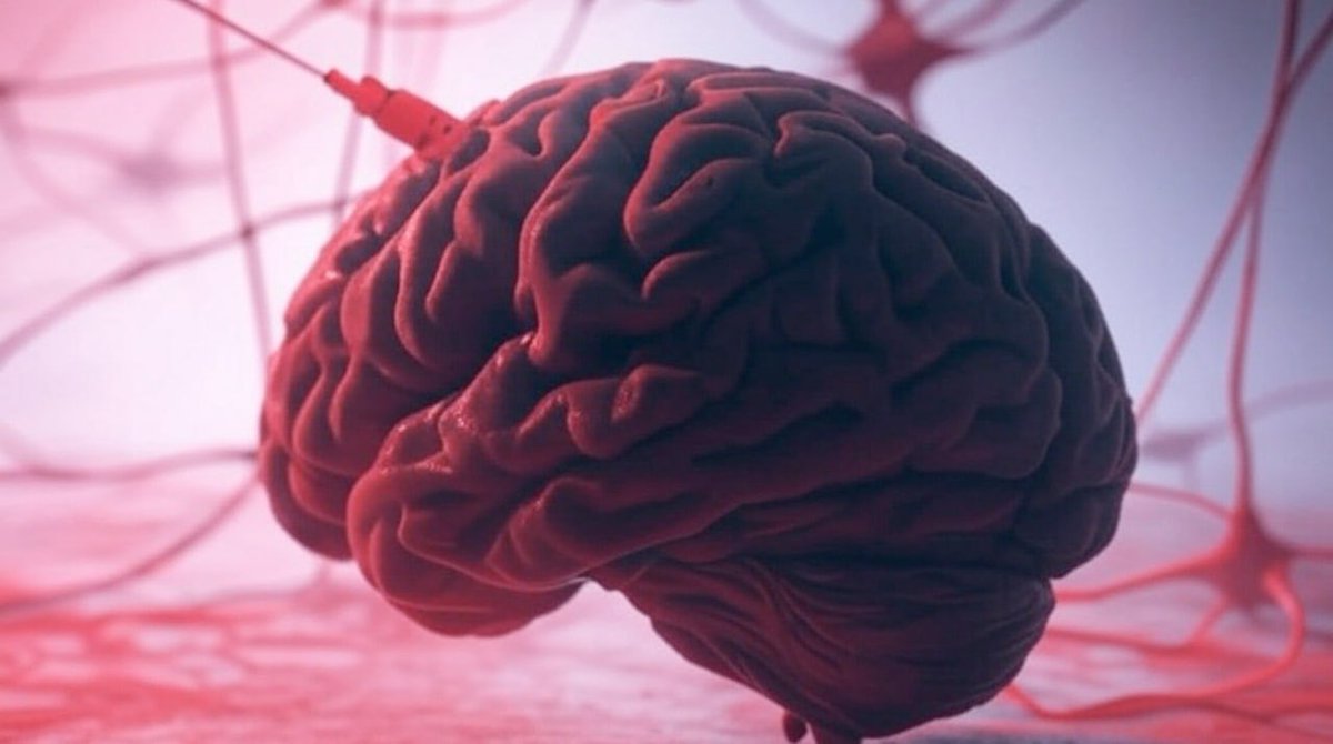 📢 Schockierende Enthüllungen: Neue Studie zeigt massive Gehirnschäden durch Corona-Impfung 

Eine bahnbrechende Studie aus Italien mit fast 9 Millionen Teilnehmern liefert alarmierende Ergebnisse: Die mRNA-Corona-Impfstoffe könnten verheerende Auswirkungen auf das Gehirn haben.