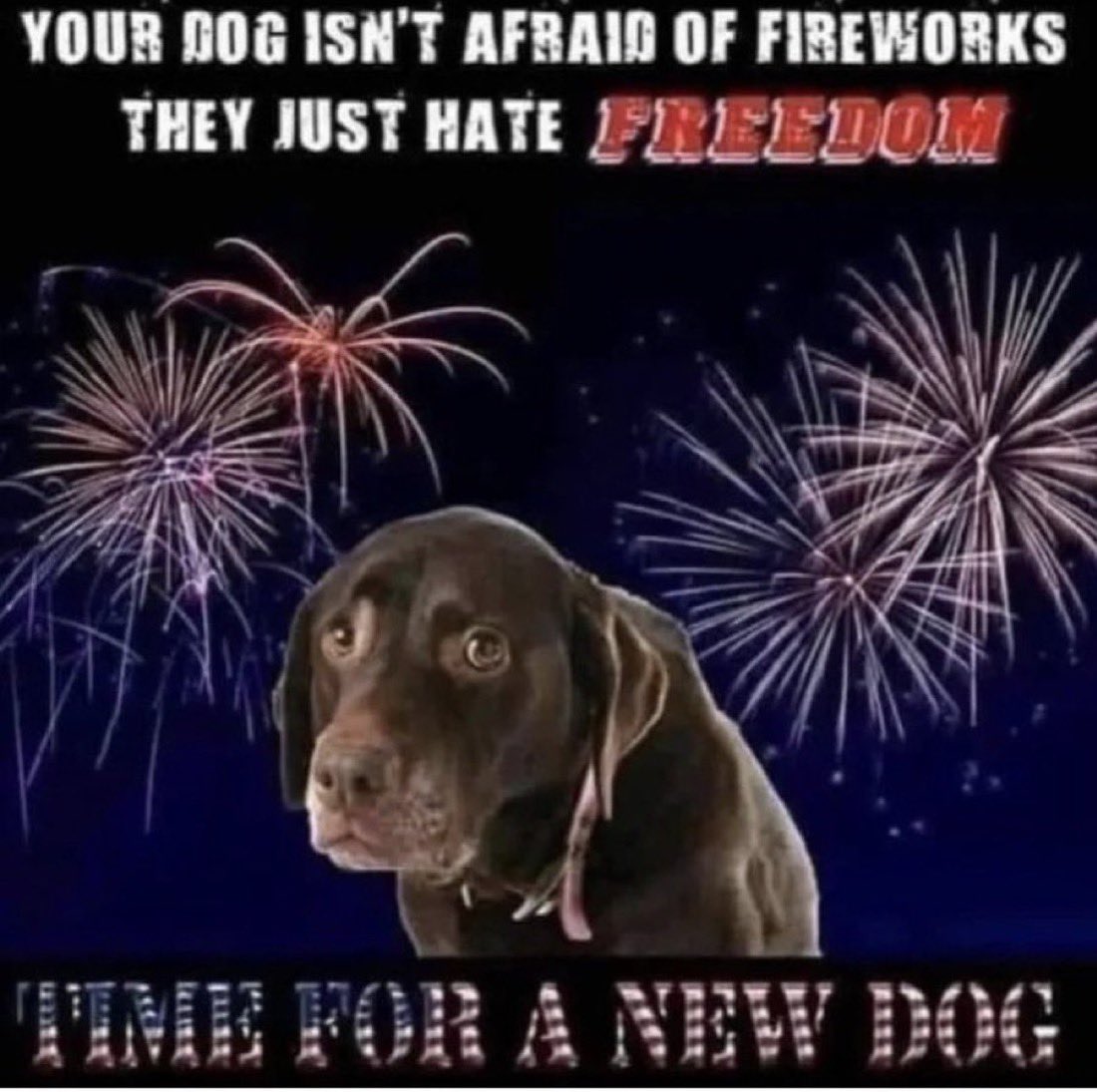 Happy Fourth of July !