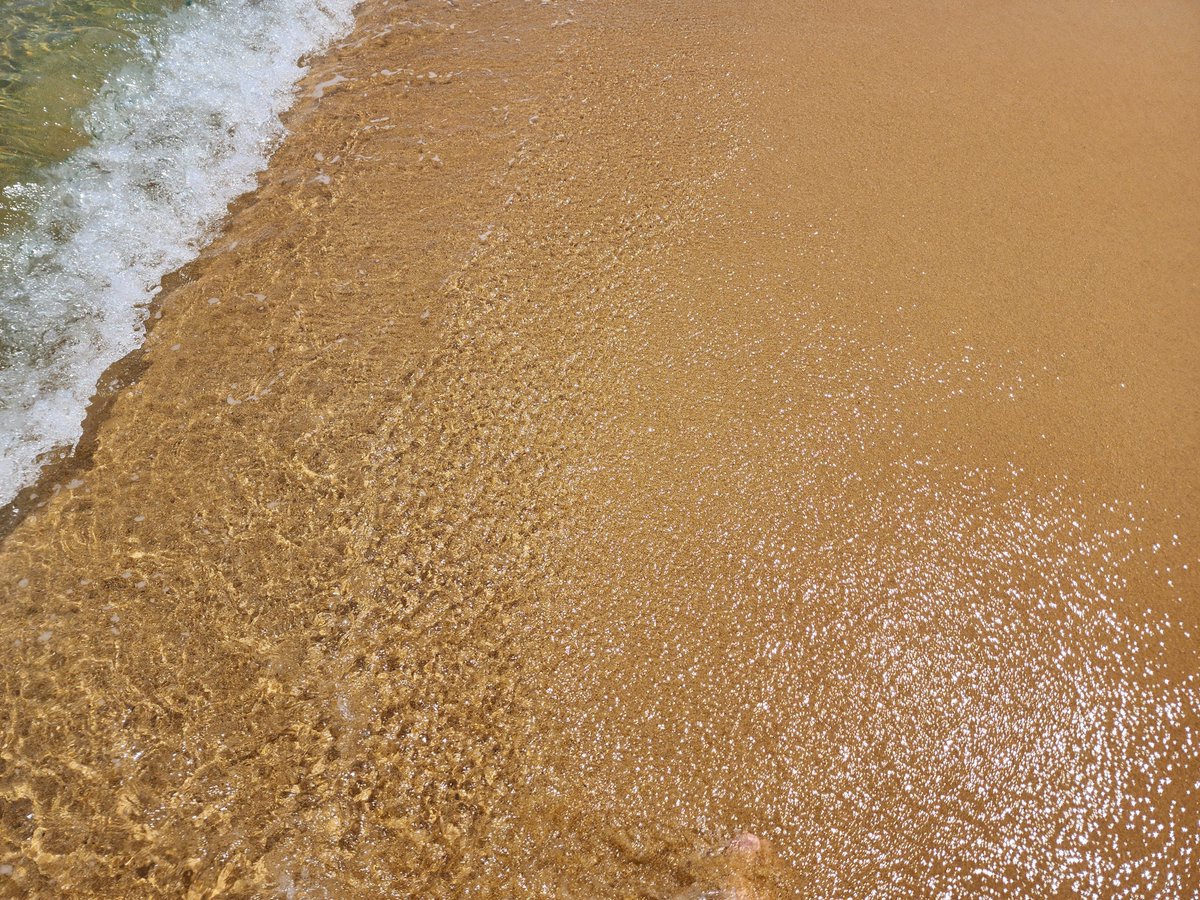 오랜만에 바다 입수

#섹트 #강원 #영동