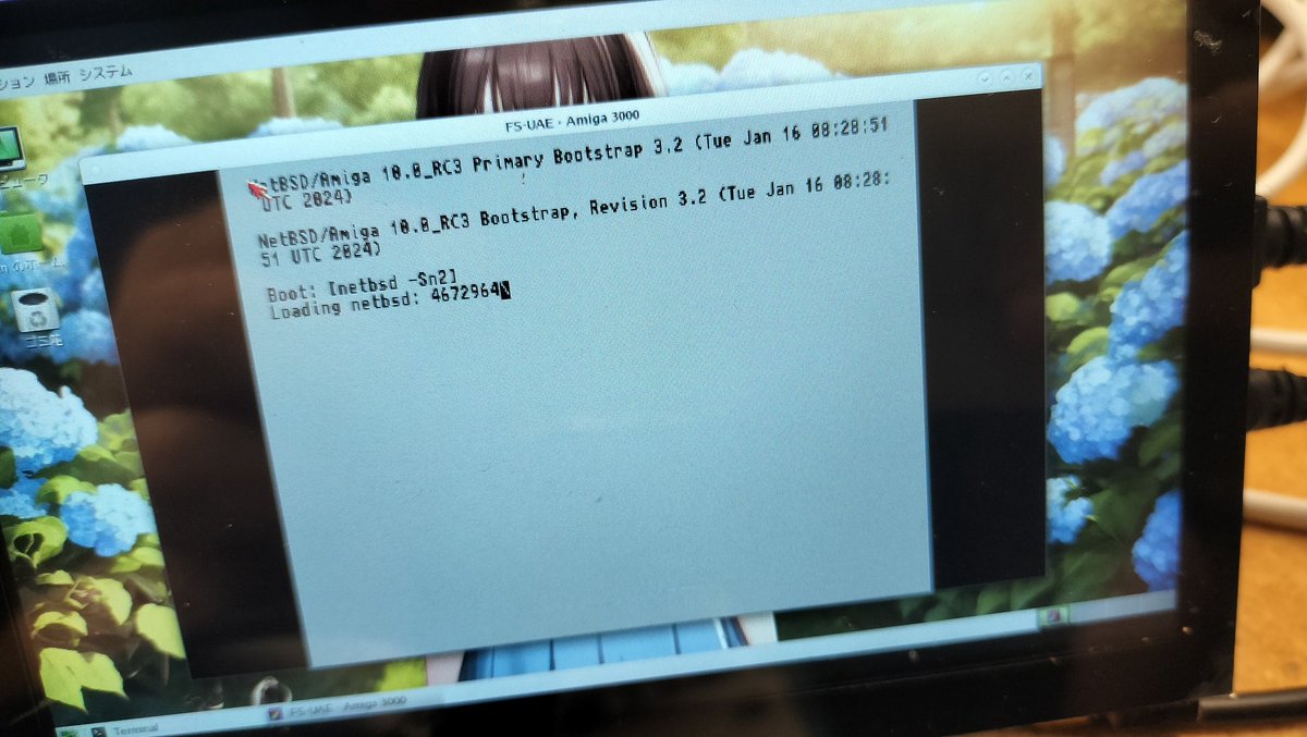 NetBSD/amiga on fs-uae on NetBSD/earmv7hf on RPI3