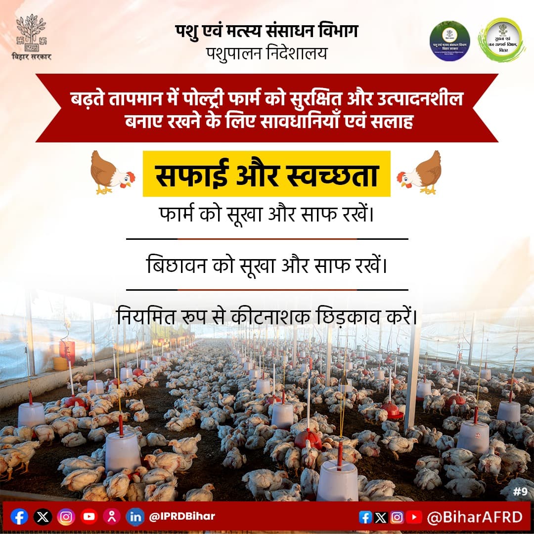 Animal & Fisheries Resources Dept., Bihar (@biharafrd) on Twitter photo गर्मी में पोल्ट्री फार्म की सफाई और स्वच्छता का ध्यान रखें।
<a href="/renu_bjp/">Renu Devi 🇮🇳</a>
<a href="/Agribih/">Agriculture Department, Govt. of Bihar</a>
<a href="/Dept_of_AHD/">Dept of Animal Husbandry & Dairying, Min of FAH&D</a>
<a href="/IPRDBihar/">IPRD Bihar</a>
<a href="/HorticultureBih/">Directorate Of Horticulture, Deptt of Agri, Bihar</a>
<a href="/vijayaias/">nvijayalakshmi</a>
#comfed
#dairy
#pashupalak
#fish
#fisheries
#BiharAnimalAndFisheriesResourcesDept गर्मी में पोल्ट्री फार्म की सफाई और स्वच्छता का ध्यान रखें।
<a href="/renu_bjp/">Renu Devi 🇮🇳</a>
<a href="/Agribih/">Agriculture Department, Govt. of Bihar</a>
<a href="/Dept_of_AHD/">Dept of Animal Husbandry & Dairying, Min of FAH&D</a>
<a href="/IPRDBihar/">IPRD Bihar</a>
<a href="/HorticultureBih/">Directorate Of Horticulture, Deptt of Agri, Bihar</a>
<a href="/vijayaias/">nvijayalakshmi</a>
#comfed
#dairy
#pashupalak
#fish
#fisheries
#BiharAnimalAndFisheriesResourcesDept