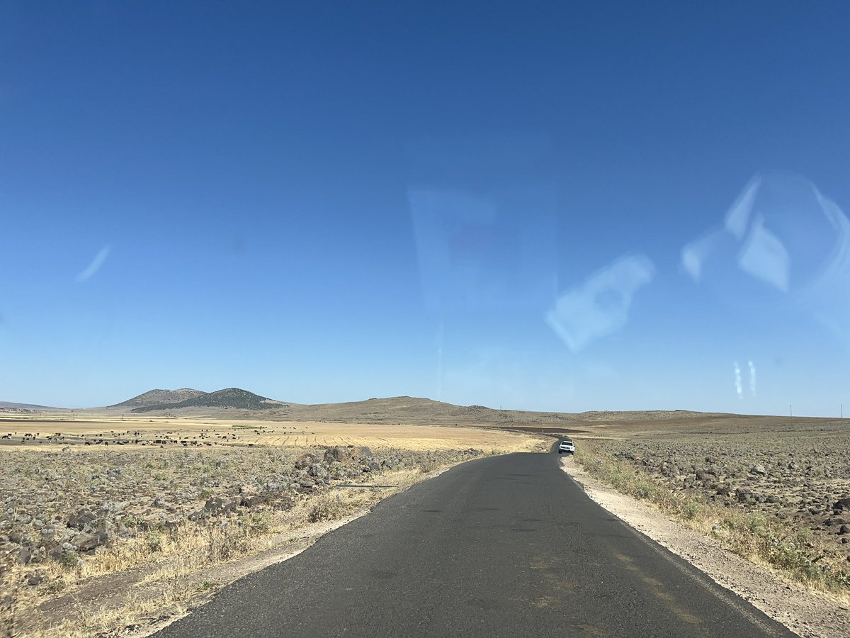 Birazdan arabanın önüne kertenkele oscar atlicak babam hala köye ev yapıcam diyo aq