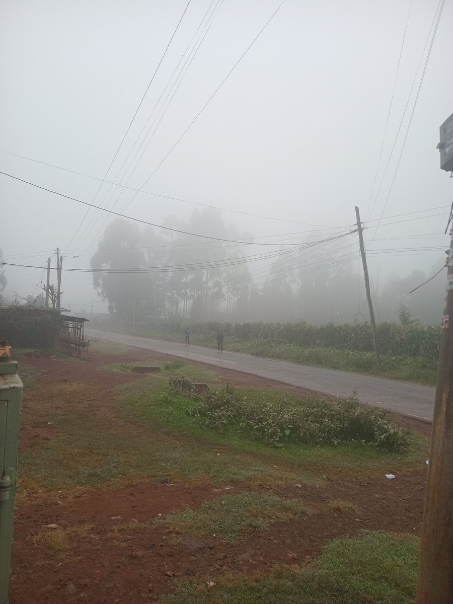 Hii weather nayo mtu huniamsha ni mama wa kuuza samosa akipita😅😅😅
