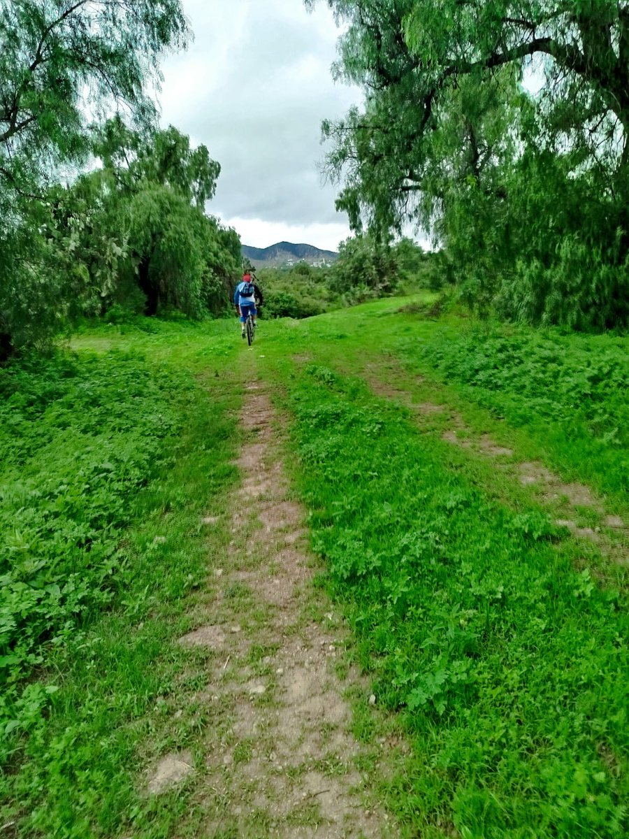 bulltraining5's tweet photo. Rodada Dominguera 
29 de junio del 2025 https://t.co/OcSTC679rp