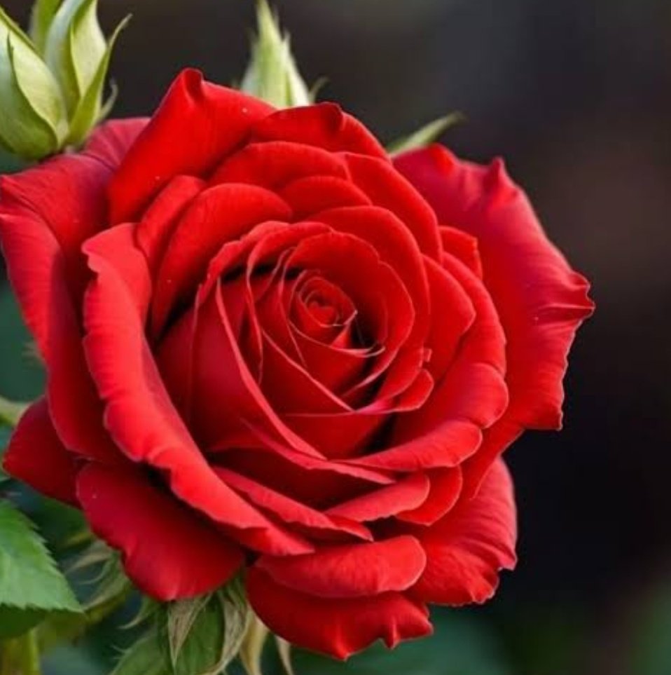 आज कल Free में कुछ नहीं मिलता,,

लोग आपकी Post तभी Like करेंगे 

जब आप उनकी Post को Like करेंगे.!!😂

                       !!राधे राधे!!