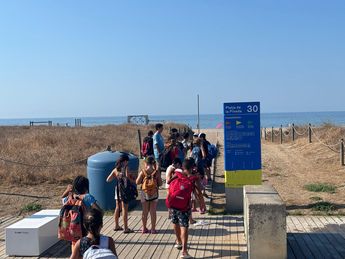 🟡⚫️ CASAL D’ESTIU

📰 Finalitza la segona setmana del casal d’estiu amb una sortida a la Platja!