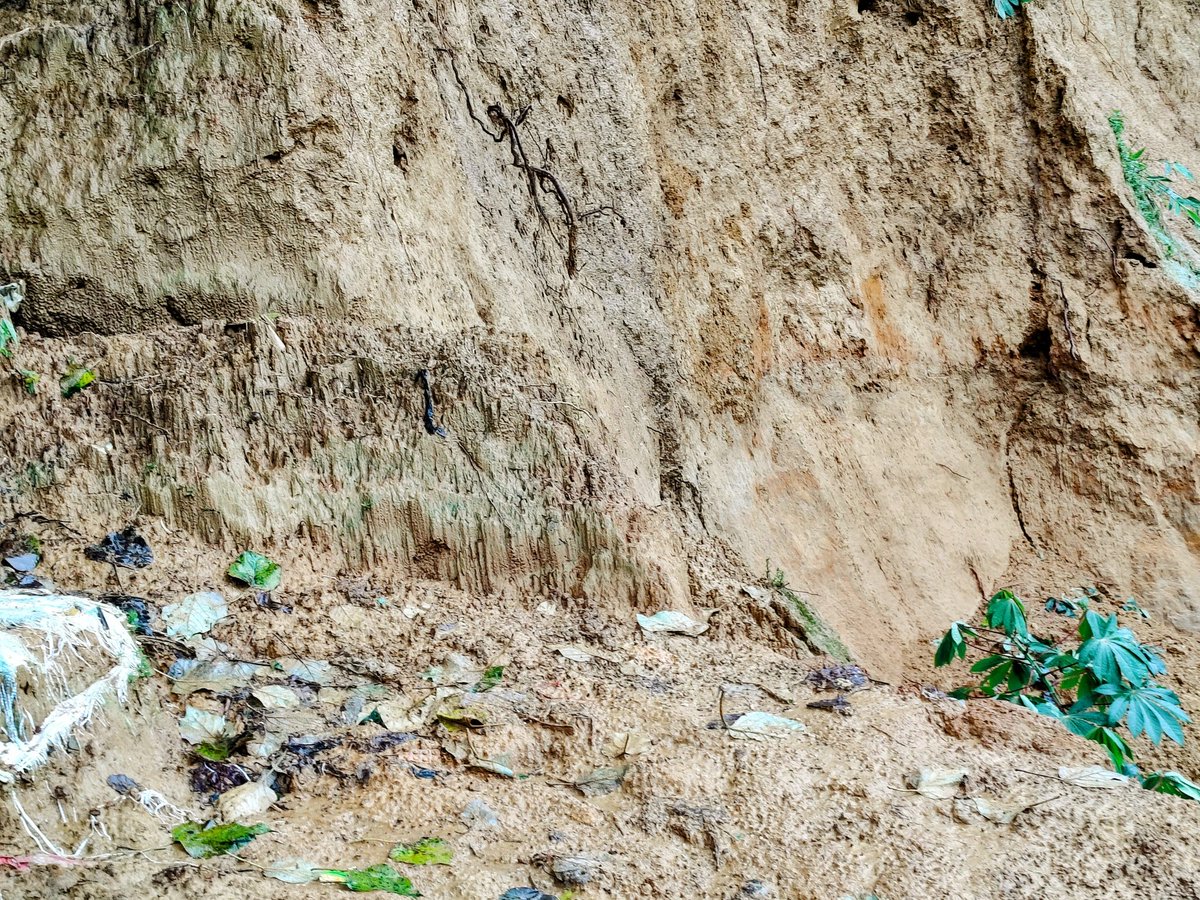 RoAnisHlaMyint's tweet image. In the world’s largest Rohingya refugee camp, many landslides are very dangerous. Our community is very worried about life and safety.
#Rohingya #RefugeeCrisis #LandslideRisk #CoxsBazar #SaveRohingya #HumanitarianAid
@RoAnisHlaMyint