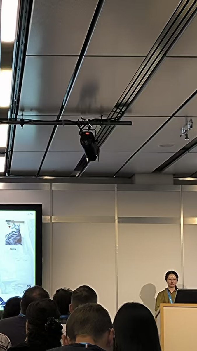 CreekSun1's tweet photo. Our cat sat through every writing session, purred through every brainstorm, and never went to bed before we did.
Best co-author. 🐾
Brought him to #EGU—not literally, but in spirit.
The session chair and audience both smiled when his photo appeared.
#EGU25 #Biogeoscience #GHG https://t.co/lNvNaxXeJs