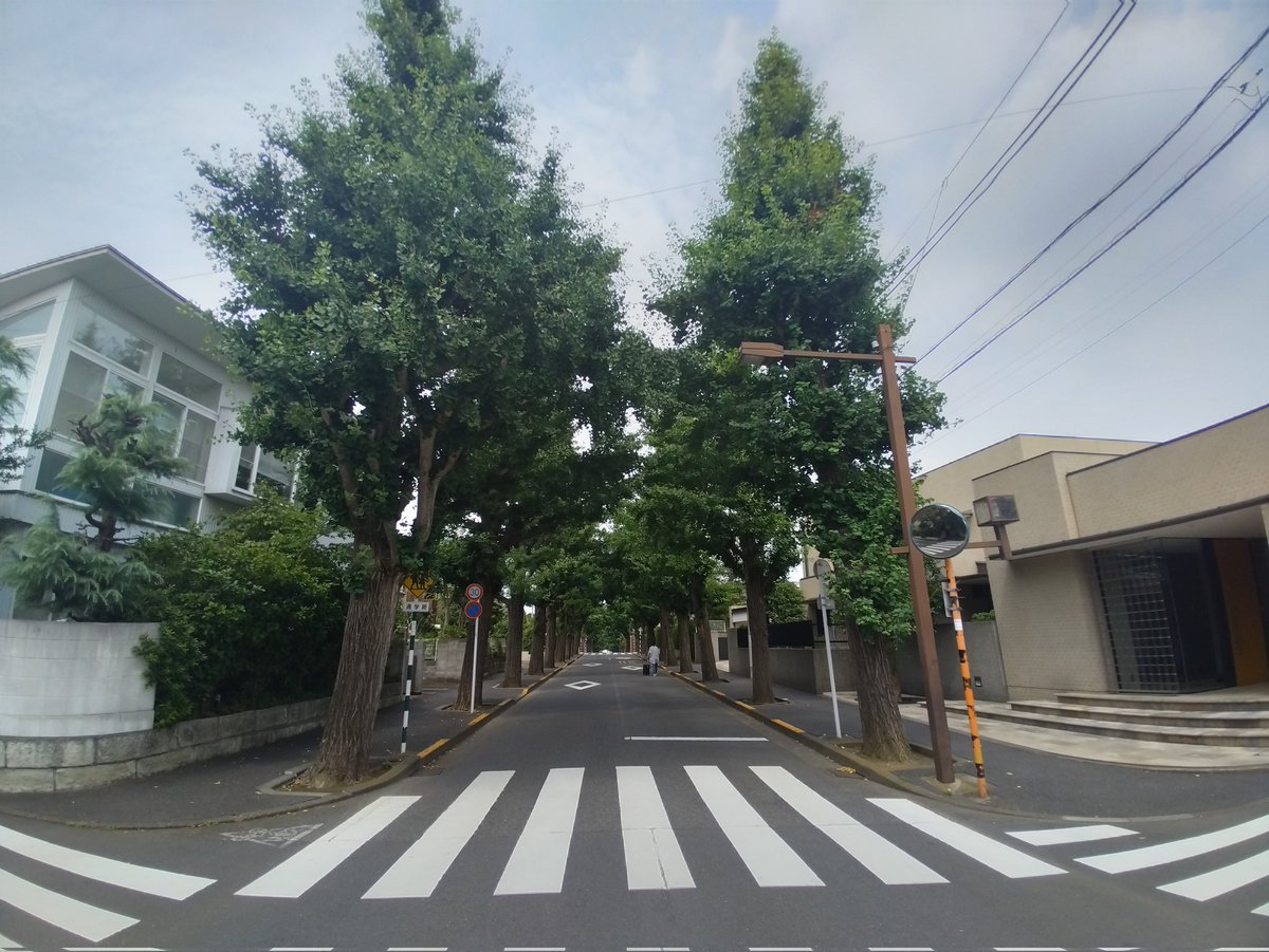 多摩川駅と田園調布近辺の公園を散策

#田園調布せせらぎ公園
#多摩川台公園
#多摩川浅間神社
#田園調布銀杏並木