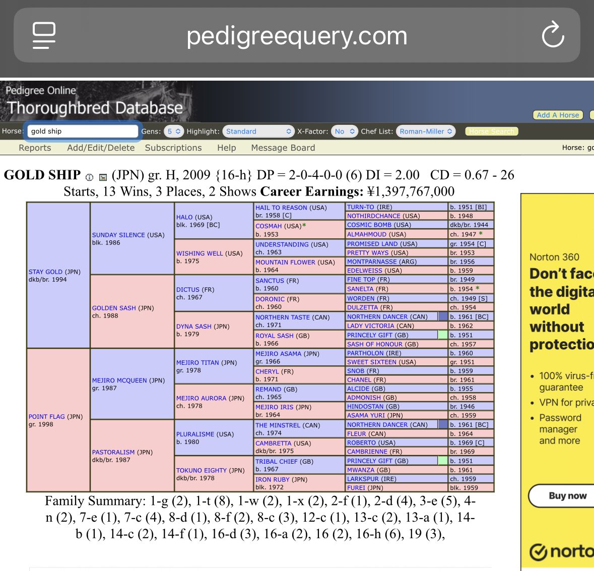 Lulla_Moon's tweet photo. @planefag Thoroughbred. Just because a breed was created *hundreds of years ago* using a mix of other breeds doesn’t mean they’re relative. Arabs were founders in almost every breed, it doesn’t mean much. He’s pure thoroughbred. https://t.co/KaJz4iga9s