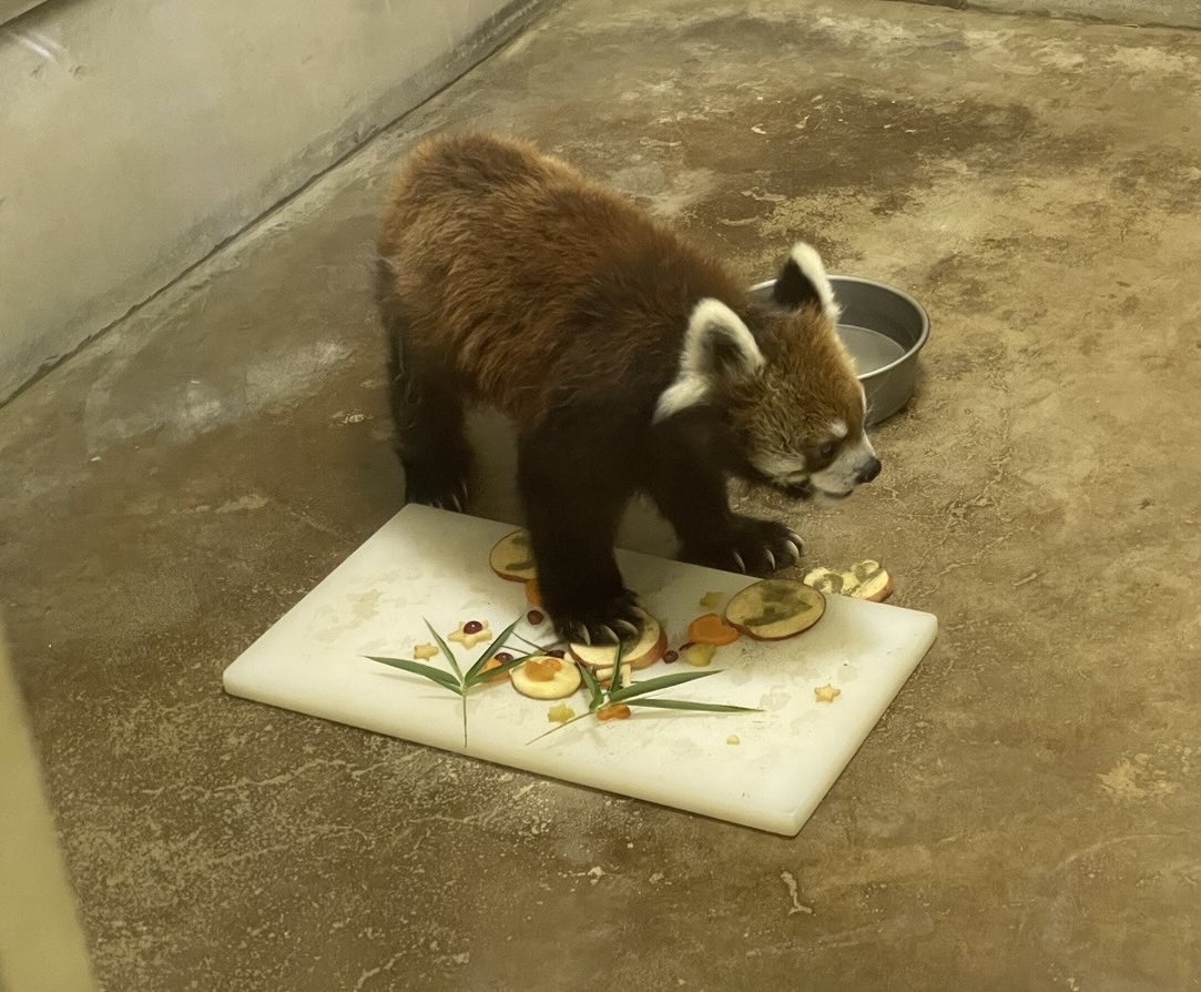 本日は風太の誕生日セレモニーにたくさんの方にご参加いただき