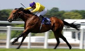 2000 Guineas Gr.1
The Derby Gr.1
The Eclipse Gr.1
Juddmonte International Gr.1
Irish Champion Gr.1
Arc De Triomphe Gr.1

6 top end Gr.1’s in one season each at a different track! SEA THE STARS an all time great, perfection in equine form