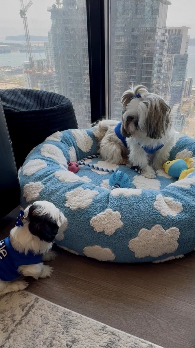 Ann Marie Ruby | Author tweet media