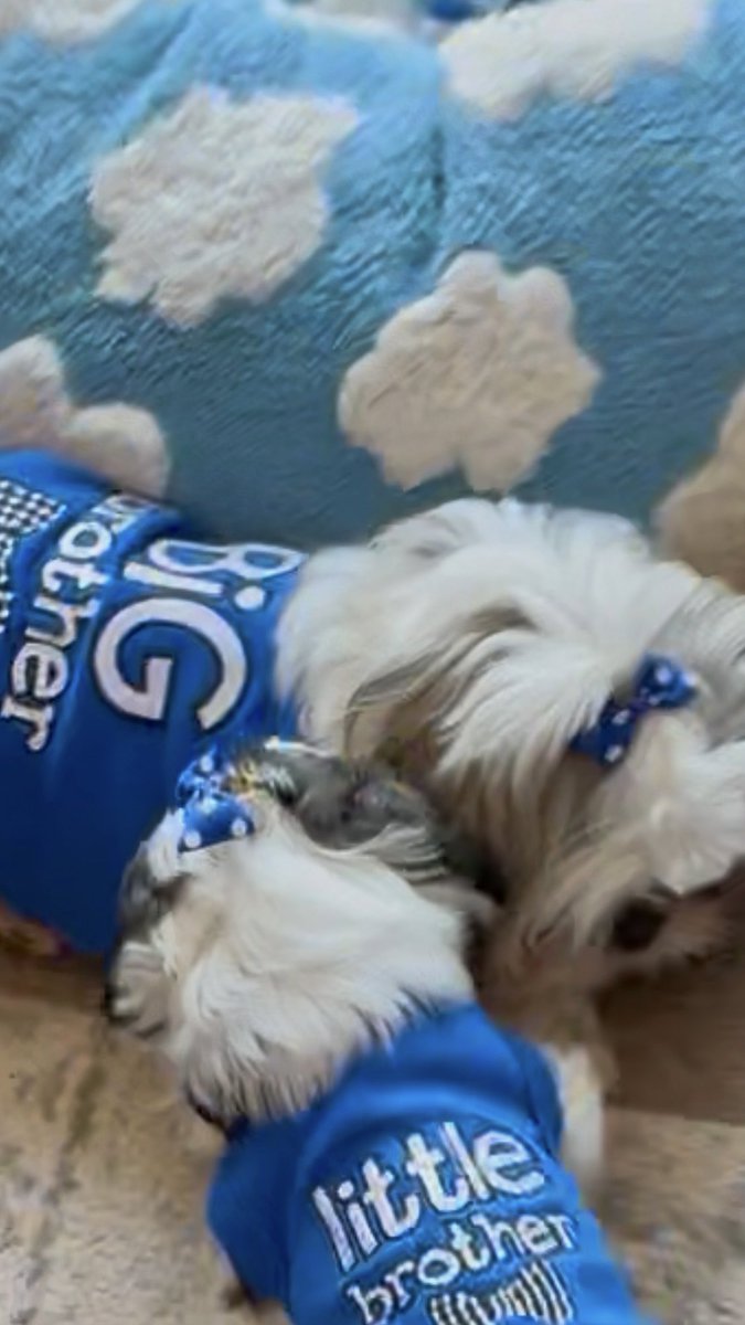 Ann Marie Ruby | Author tweet media