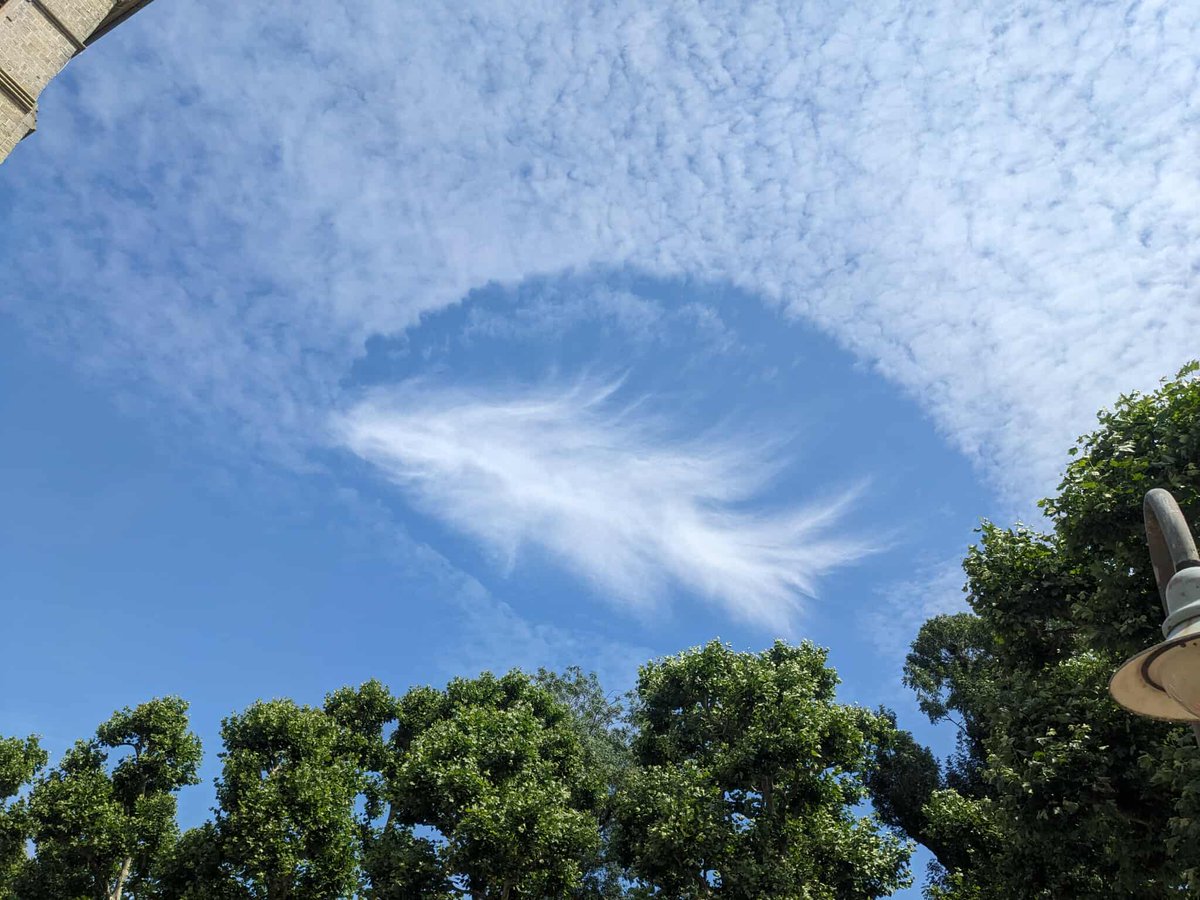 ℹ️☁️✈️ Haut de Mueren hunn sech nees sougenannten  'Hole Punch Clouds' (Altocumulus cavum) iwwert eiser Regioun entwéckelt. Um Satellittebild erkennt een d'Lächer an den Wolleken (bloelzeg = veräist, gielzeg = flësseg). D'Foto weist esou eng Wollek vun de Mueren. /LM