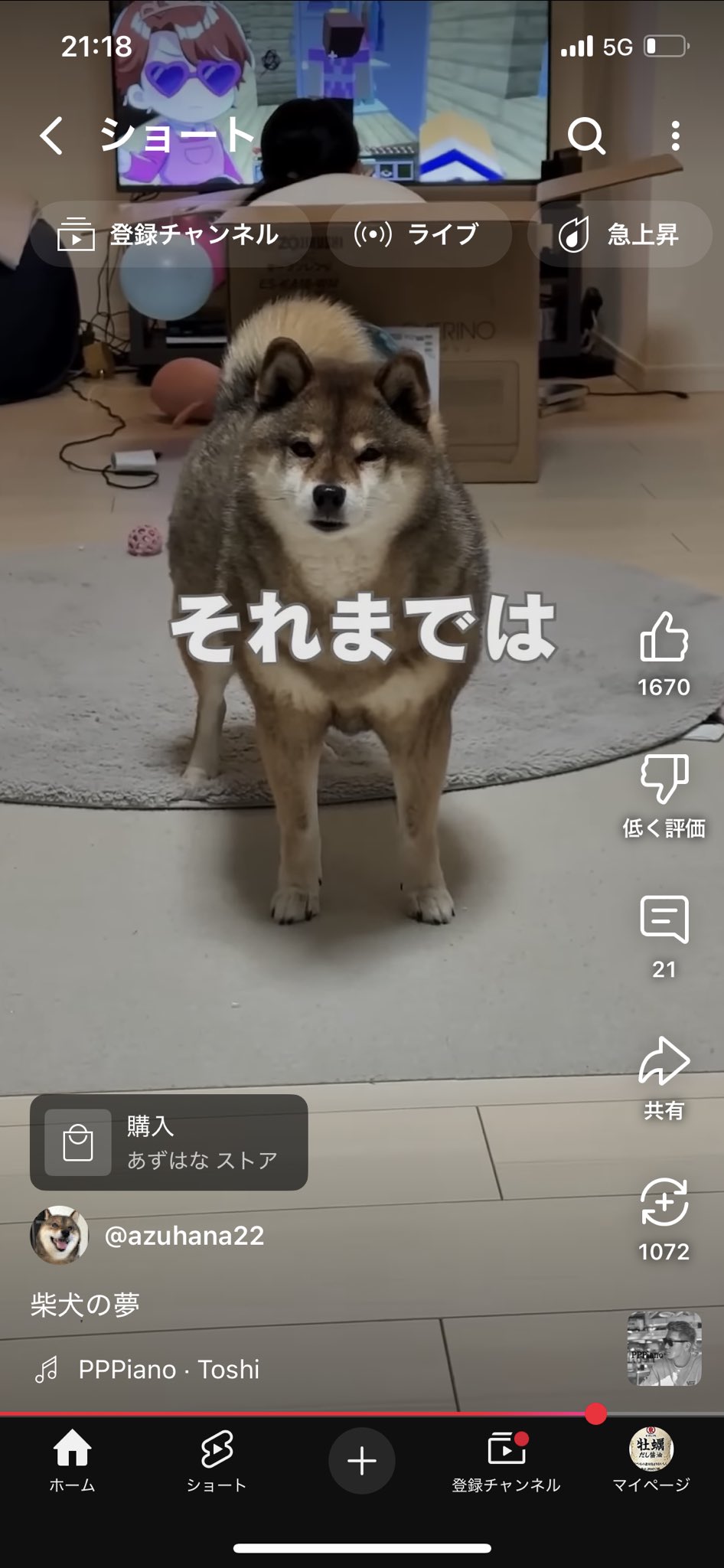 たぬき02様  ご確認用♡ たぬき02様 ご確認用♡