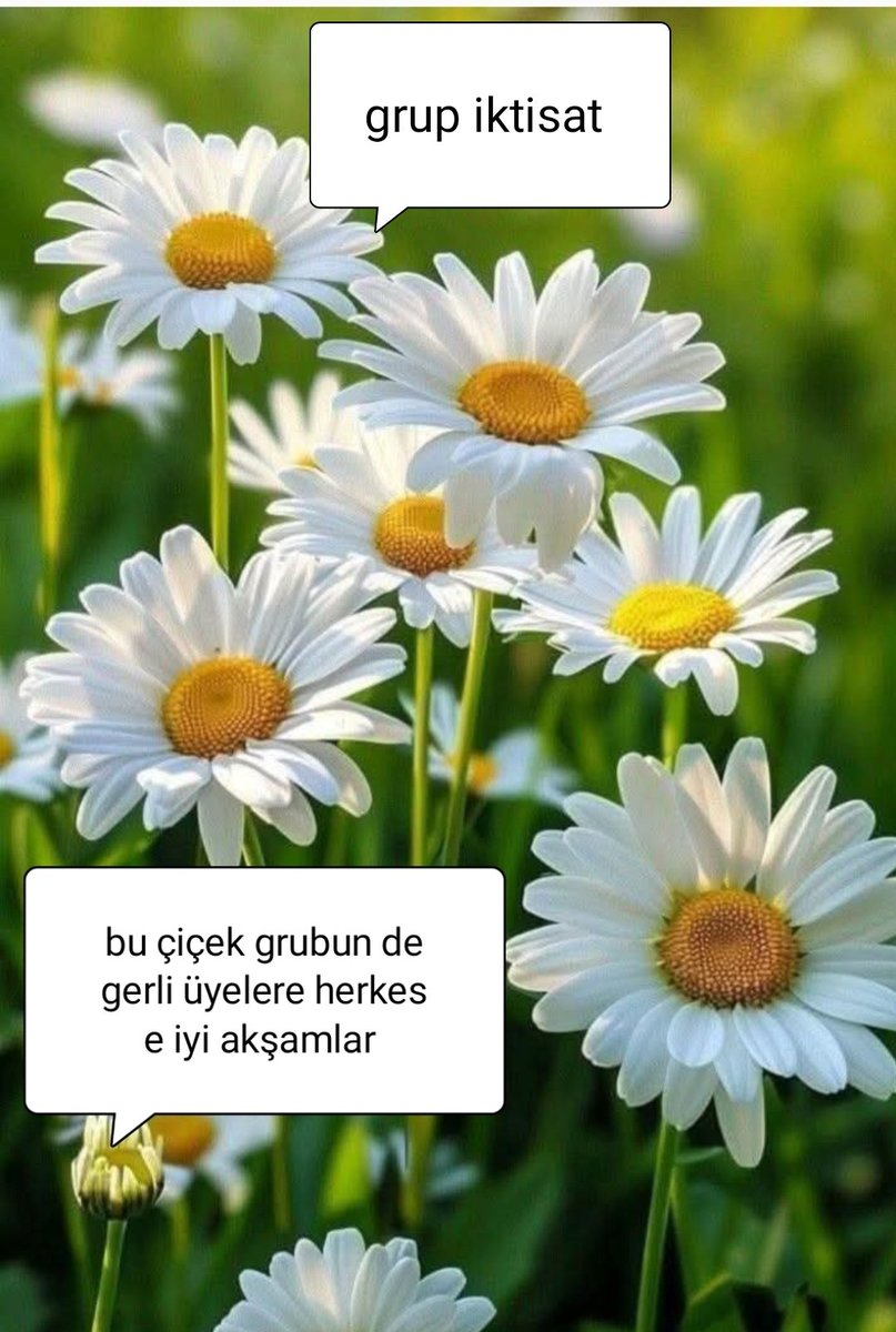 📉GRUP İKTİSAT 📈
<a href="/Minm35/">Mine</a>
 <a href="/Hizireli/">Murat HIZIR</a> 
<a href="/mkus27/">Mevlüt27⭐⭐⭐⭐⭐</a> 
<a href="/1enql/">Berk</a> 
<a href="/1lrqm/">🇹🇷SeNCeR🇹🇷</a> 
<a href="/IboG27/">ibo</a> 
<a href="/SiirSL_/">𝗦𝗶𝗶𝗿𝗦𝗟_💣💯✌️💯✌️💯✌️</a> 
<a href="/01Bergu/">Berguzar01</a> 
<a href="/Ozi__06/">İç_ses🙋🏻‍♂️</a> 
<a href="/SuMeri35/">SuMeri</a> 
<a href="/20ysf1/">Yusuf</a> 
<a href="/nryd37/">Nuray</a> 
<a href="/nykdmrl/">Nur🌙</a> 
<a href="/1j_qz/">âLp</a> 
<a href="/kitleikna/">Sir Vival</a> 
<a href="/SiirSL1/">🌬️@SiirSL1🎊🎊</a> 
<a href="/Mehter_22/">Mehmet⭐⭐⭐⭐⭐💙💛</a> 
<a href="/Glsm21/">@Glsm</a> 
<a href="/Krklm/">𝓗𝓪𝓴𝓪𝓷</a> 
<a href="/Akif2_/">𝓐 𝓴 𝓲 𝓯 ♡</a> 
<a href="/Erdal_Demiir/">🇹🇷ERDAL DEMİR🇹🇷</a> 
<a href="/Akkurt026/">Emre Akkurt</a> 
<a href="/Aselsuu_/">Aselsuu</a> 
<a href="/drssn_42/">Dursun</a> 
<a href="/ik_ra1/">💕𑜞᭄ °•°Pişştt...Herkes işine baksın 💕𑜞᭄</a> 
<a href="/AYC4F/">AYCA✨</a>