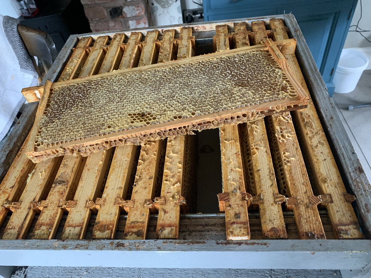 therivercottage's tweet photo. I can’t believe how heavy this super was. There must be at least 10 kg of honey in there. https://t.co/ZlbMftrBaF