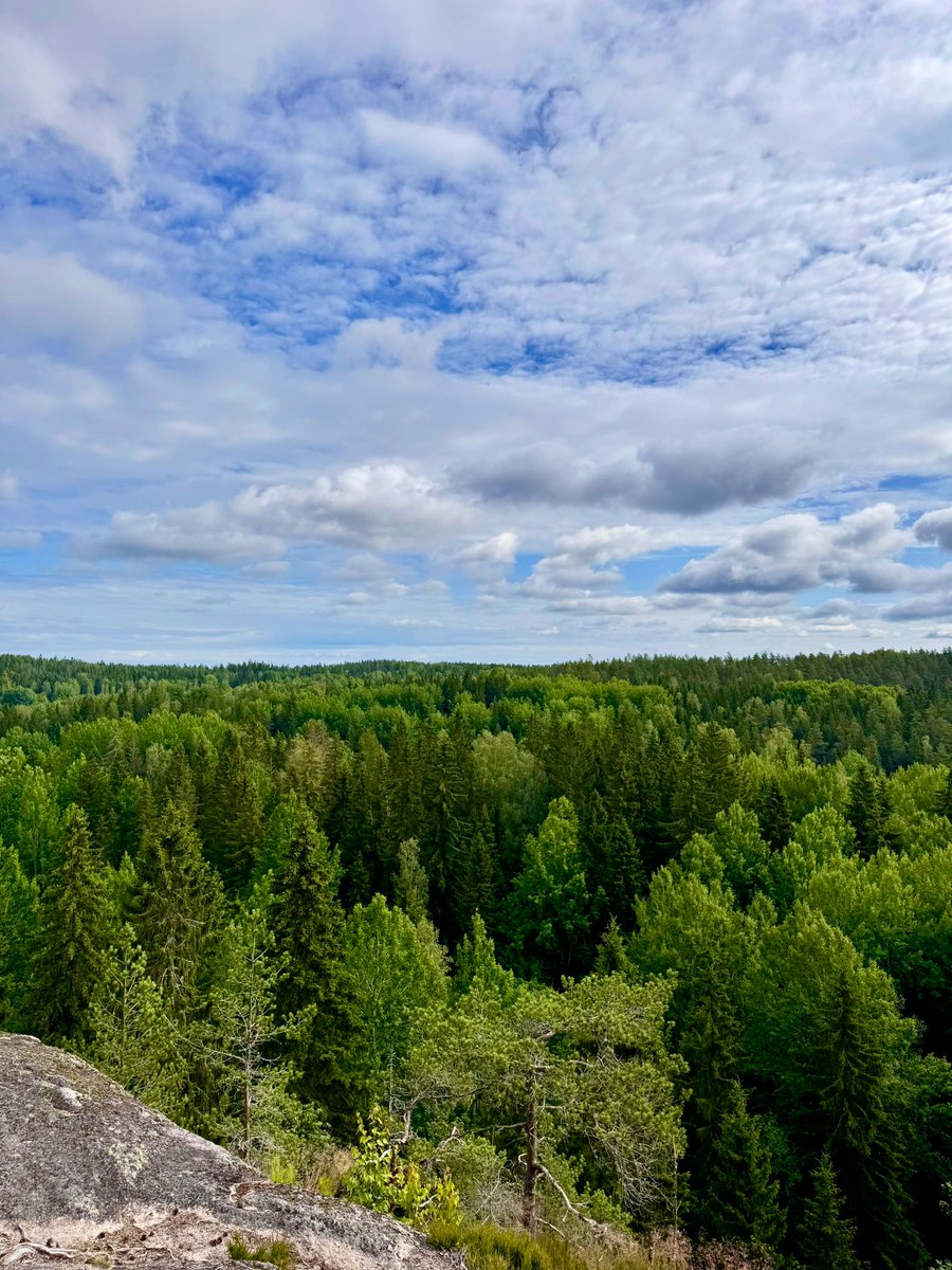 HeidiKajan's tweet photo. ”Entä jos tää on meidän viimeinen elämä
Eikä tarvii taivaaseen pisteitä kerätä
Eiks meidän kannattais mieluummin elää eikä pelätä
Jos tää onkin viimeinen elämä” https://t.co/e4LL3t9XZN