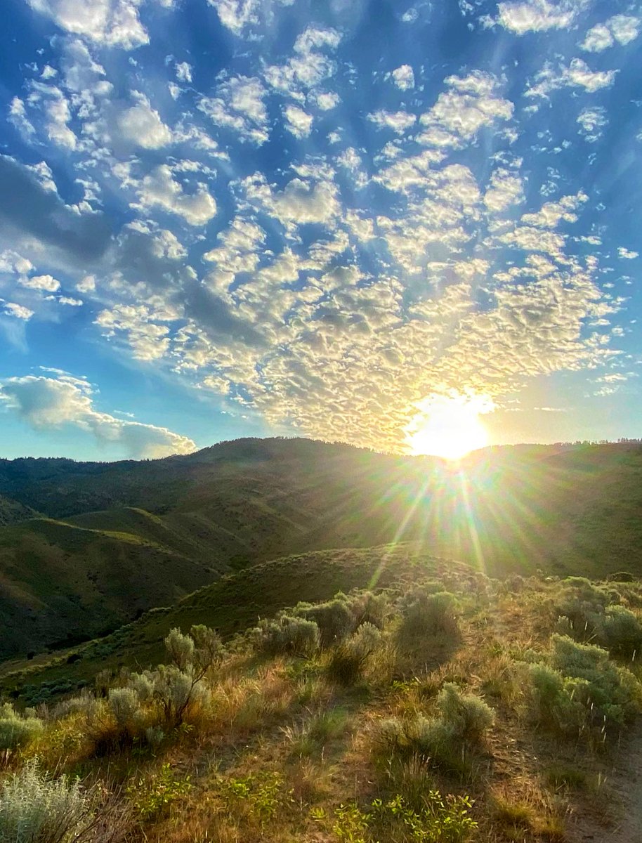 How about sunbeams for Saturday?!
A ray of hope, so to speak!  🌅☀️
