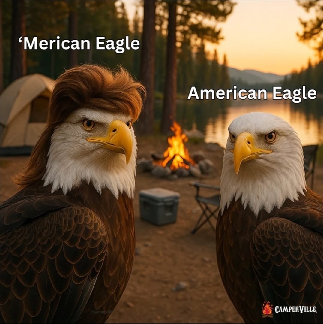 PlanetOfMemes's tweet image. 'Merica 🇺🇸 🦅