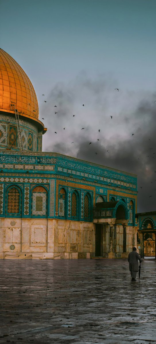 ℭ𝔲𝔰𝔱𝔬𝔪𝔏𝔬𝔤 tweet media