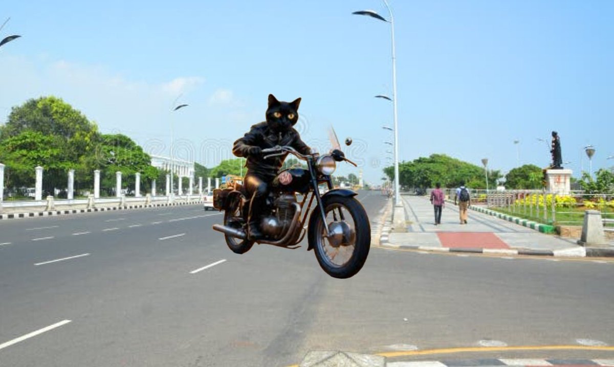 An old picture I still love. 😹