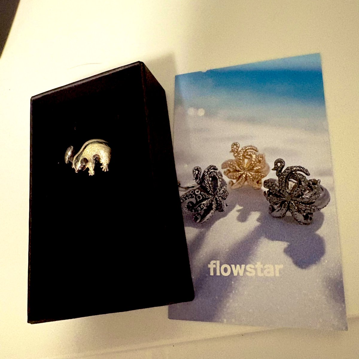 yukitorakichiii's tweet image. デザフェス戦利品①
@flowstarsilver 様のモモンガリング🤗
今回のデザフェスではリング狙いで色んなところを回ったのですが、このモモンガちゃんが可愛すぎてお迎えしてしまいました🤤指の上にいるの尊くて気分上がります🥹
#デザフェス61
#デザフェス戦利品
