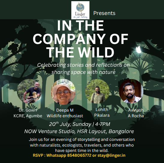 do nothing vacations (@lingerleisure) on Twitter photo Birds, elephants, leeches, bears, King Cobras, spiders, flying squirrels, earthworms, moths, butterflies - they're all residents of places we live in and visit in the wilderness. Join us on the 20th to explore how we can share space and immerse in this wonderland! Birds, elephants, leeches, bears, King Cobras, spiders, flying squirrels, earthworms, moths, butterflies - they're all residents of places we live in and visit in the wilderness. Join us on the 20th to explore how we can share space and immerse in this wonderland!